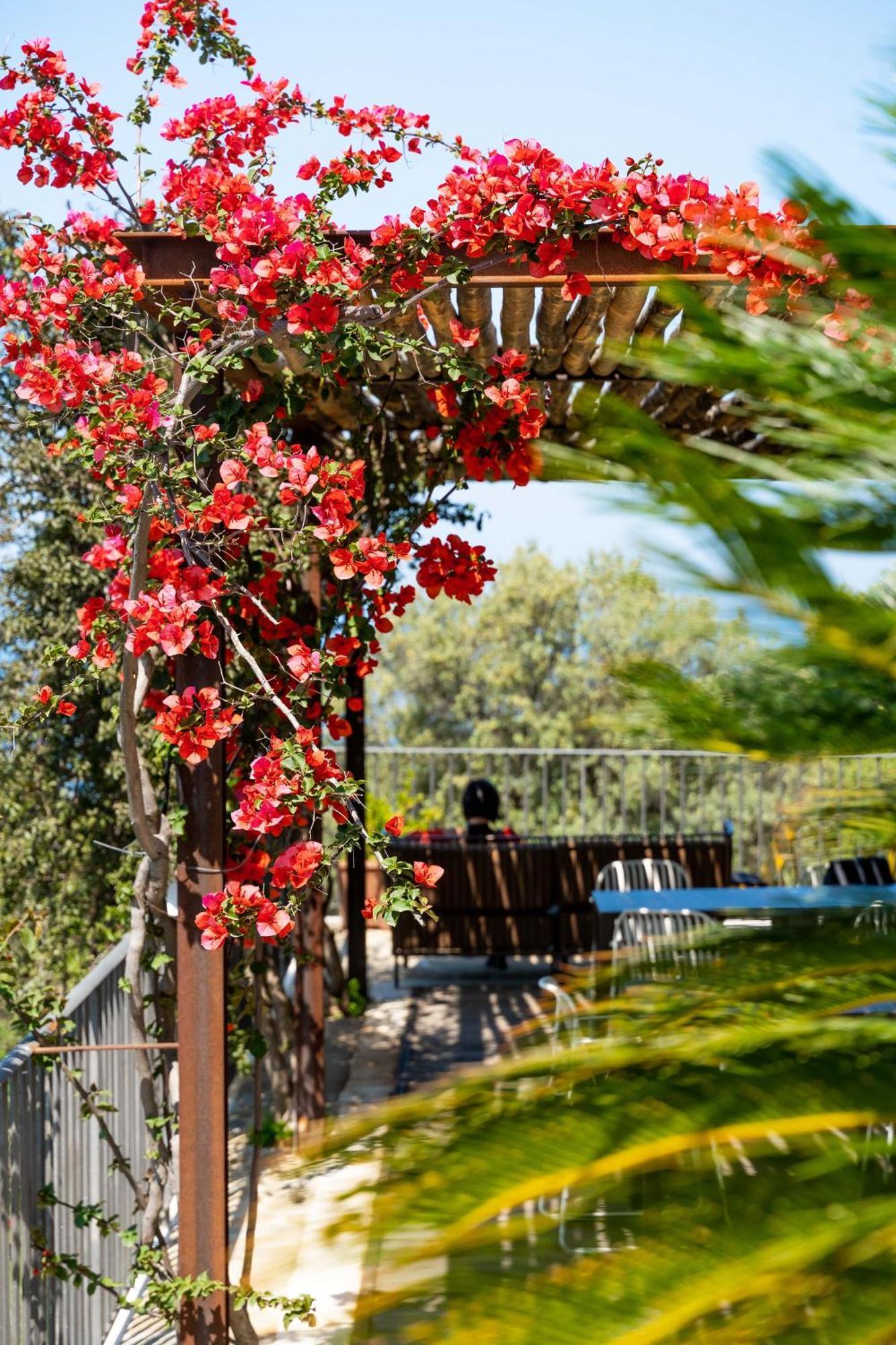 B&B Baia Di Trentova 阿格罗波利 外观 照片